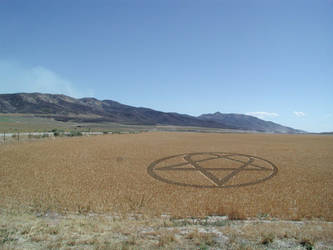 him crop circles