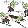 Miscellaneous Shayles