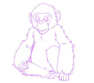 Chimp