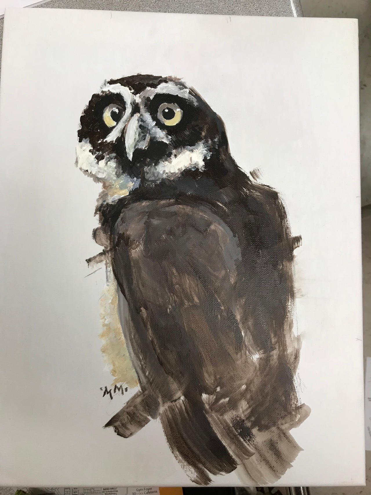 Observation Painting By Mibachella On Deviantart