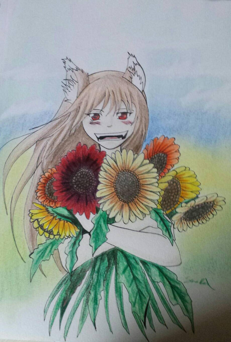 Wolf and the field of sun flowers