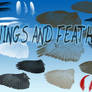 Bird Feathers and Wings