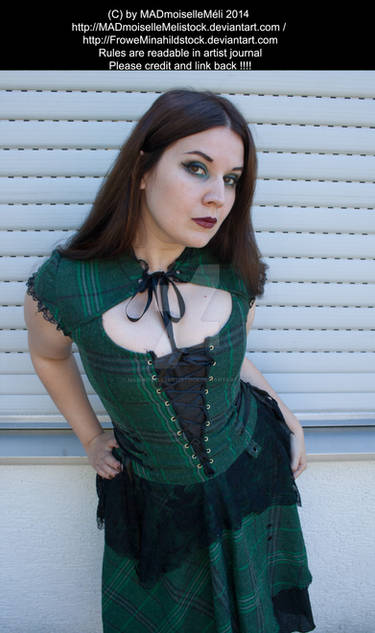 Green Tartan Gothic Dress Stock