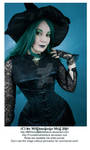 Halloween Gothic Witch Stock 003 by MADmoiselleMeliStock