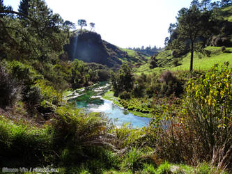 Te Waihou Blue Spring