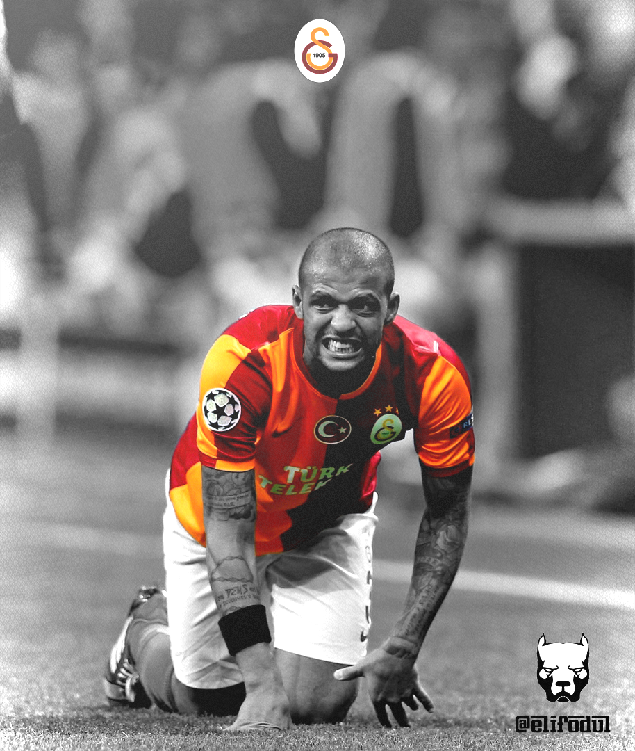 felipe melo pitbull by elifodul on
