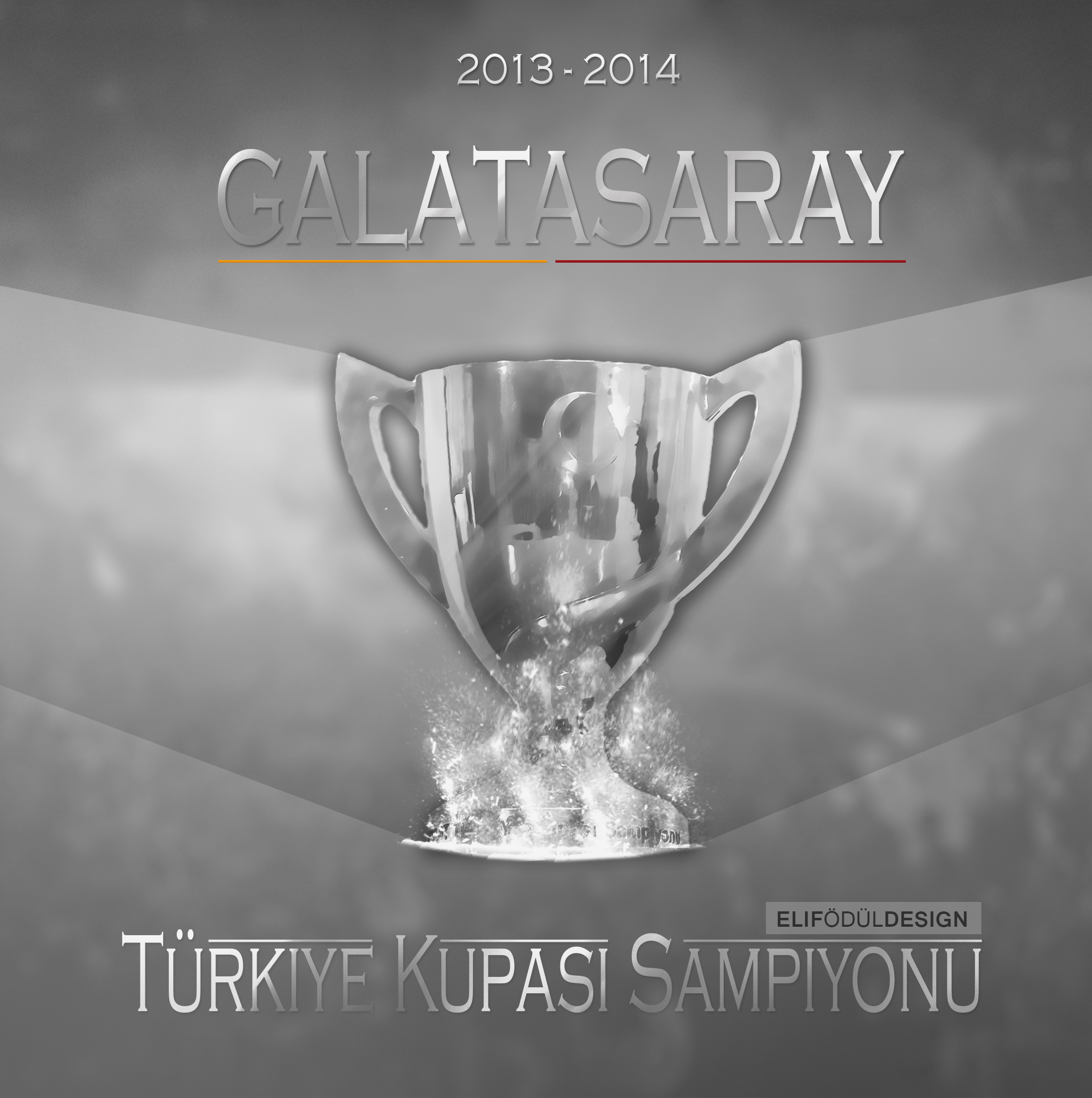 Turkiye Kupasi Sampiyonu Galatasaray