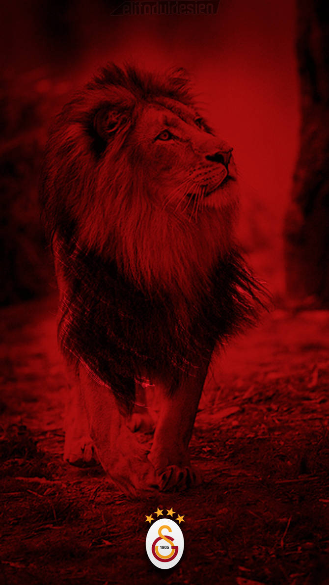 galatasaray mobil wallpaper by elifodul