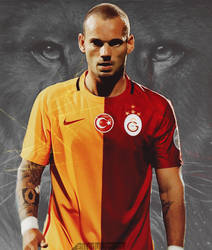 Wesley Sneijder