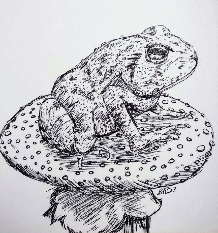 Toad by SinningRaccoon on DeviantArt