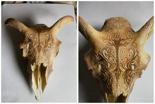 Engraved ram skull