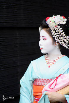 Maiko - Geisha in training