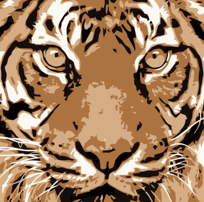 'Tiger'