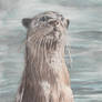 River Otter