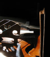 Glossy violin