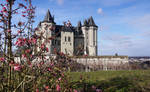 Chateau de saumur by vogesen