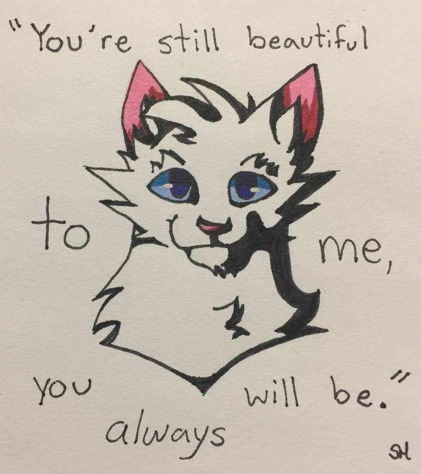 Warrior Cats Quotes #70 by FeatherDrawz on DeviantArt