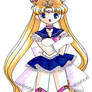 Princess Sailor Moon