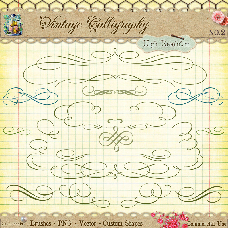 Calligraphy Border Write Calligraphy Borders and Ornaments No 2 by starsunflowerstudio on DeviantArt