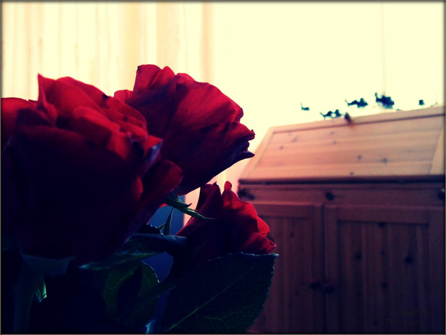 Wake up and smell the roses.