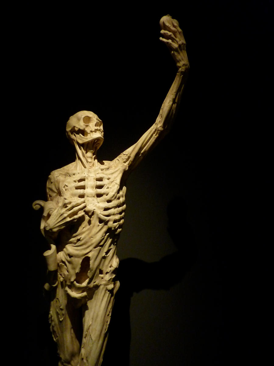 'Le squelette', Ligier Richier