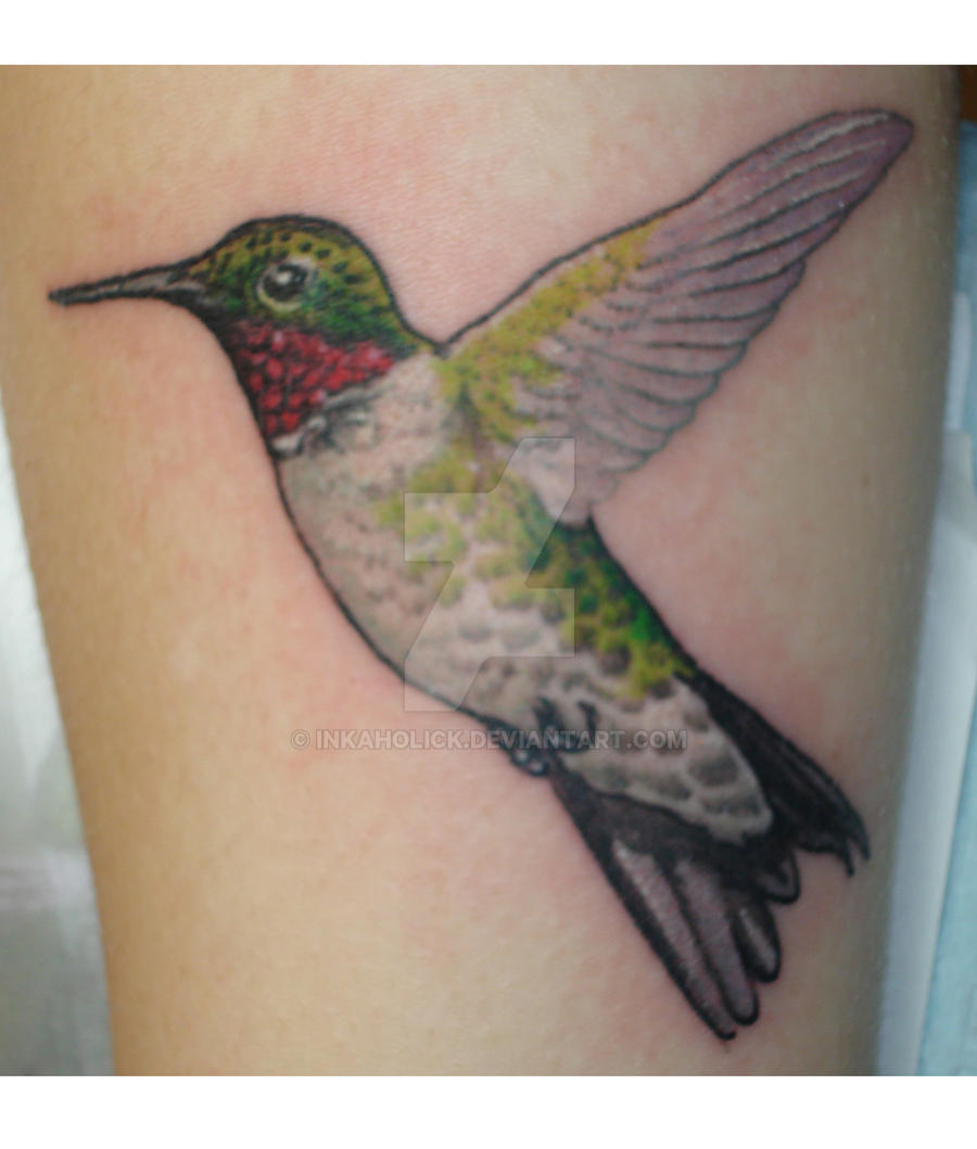 hummingbird