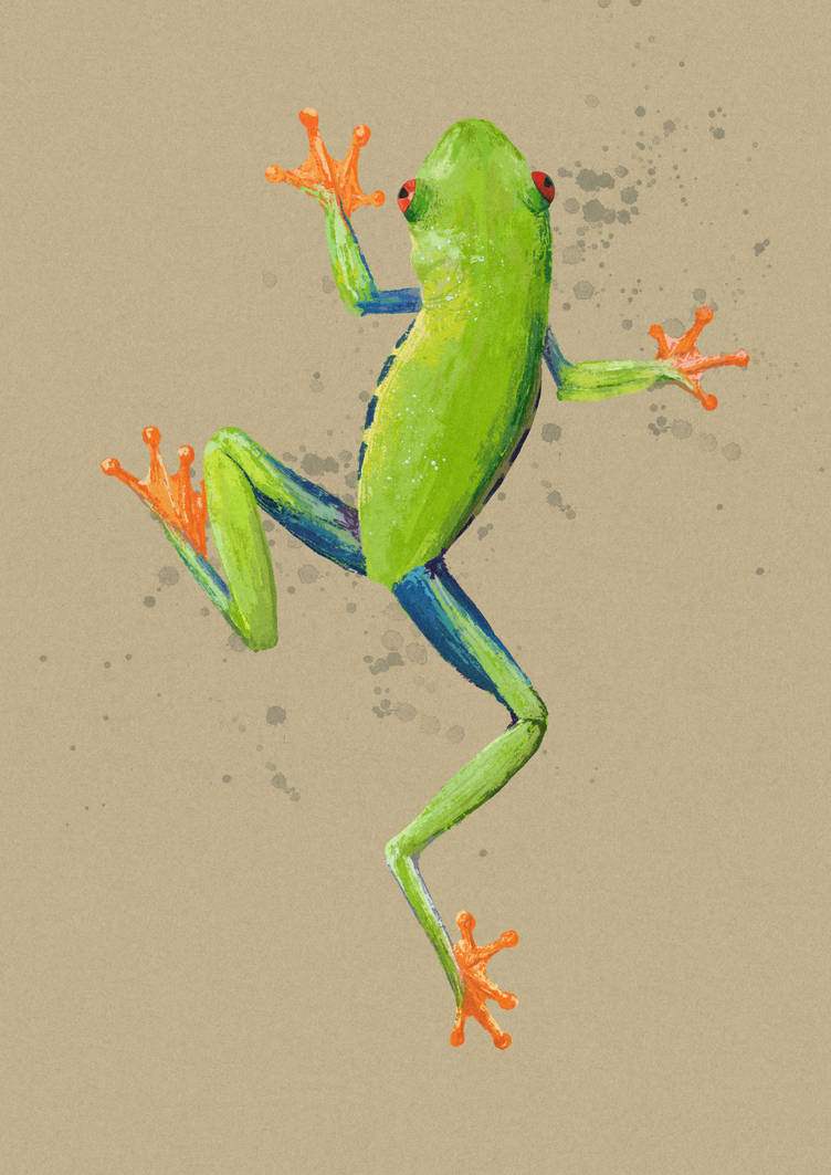 Froglet by pluplant on DeviantArt