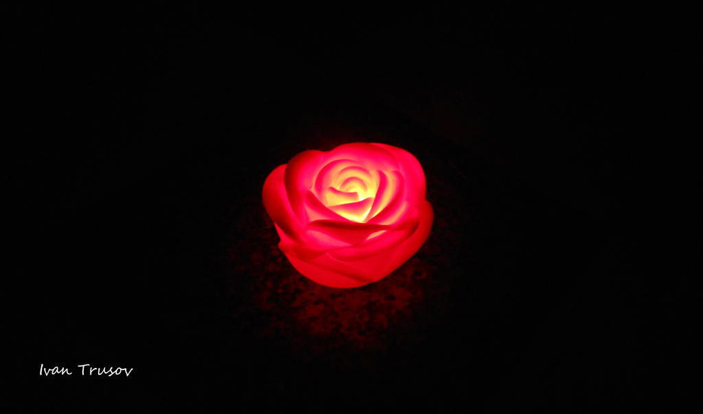 Flower Flashlight