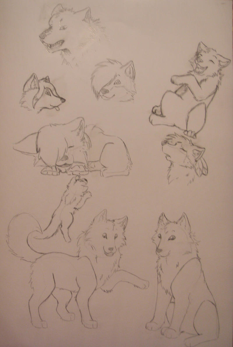 Some wolves sketches