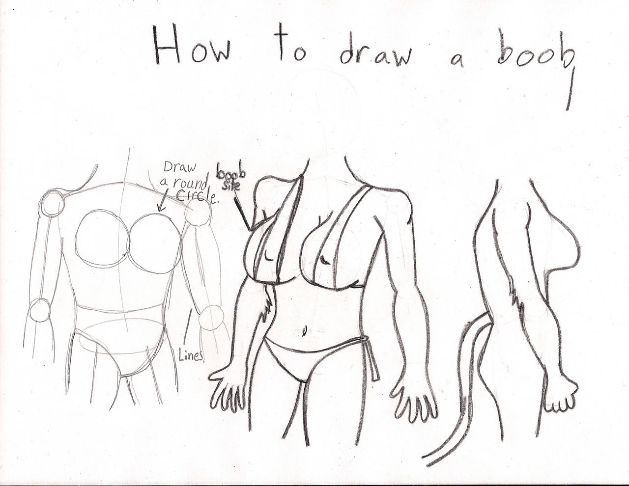 How to draw a anthro boob. by ajkiel91 on DeviantArt