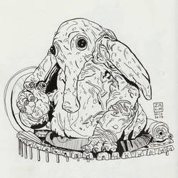 Day 23 - Max Rebo