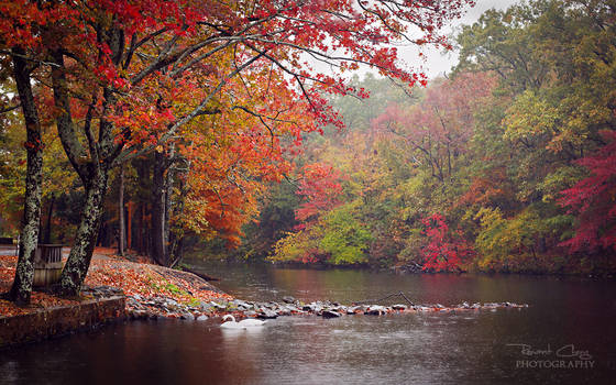 .:Autumn Enchantment:.