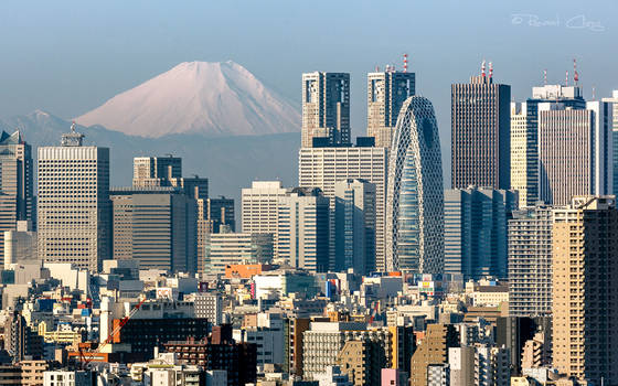 .:Tokyo and Mt. Fuji:.