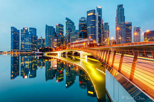 .:Singapore Reflection:.