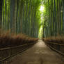 .:Arashiyama Bamboo Forest:.