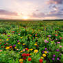 .:Garden of Eden:.