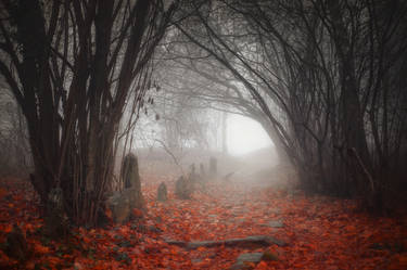 Incantation in the Woods