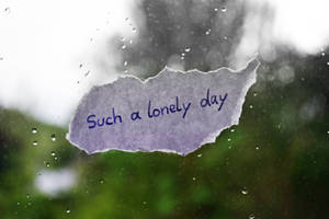 Lonely Day