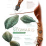 Segmaris-full