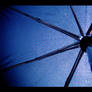 that blue umbrella