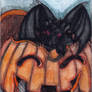 pumkin dragon