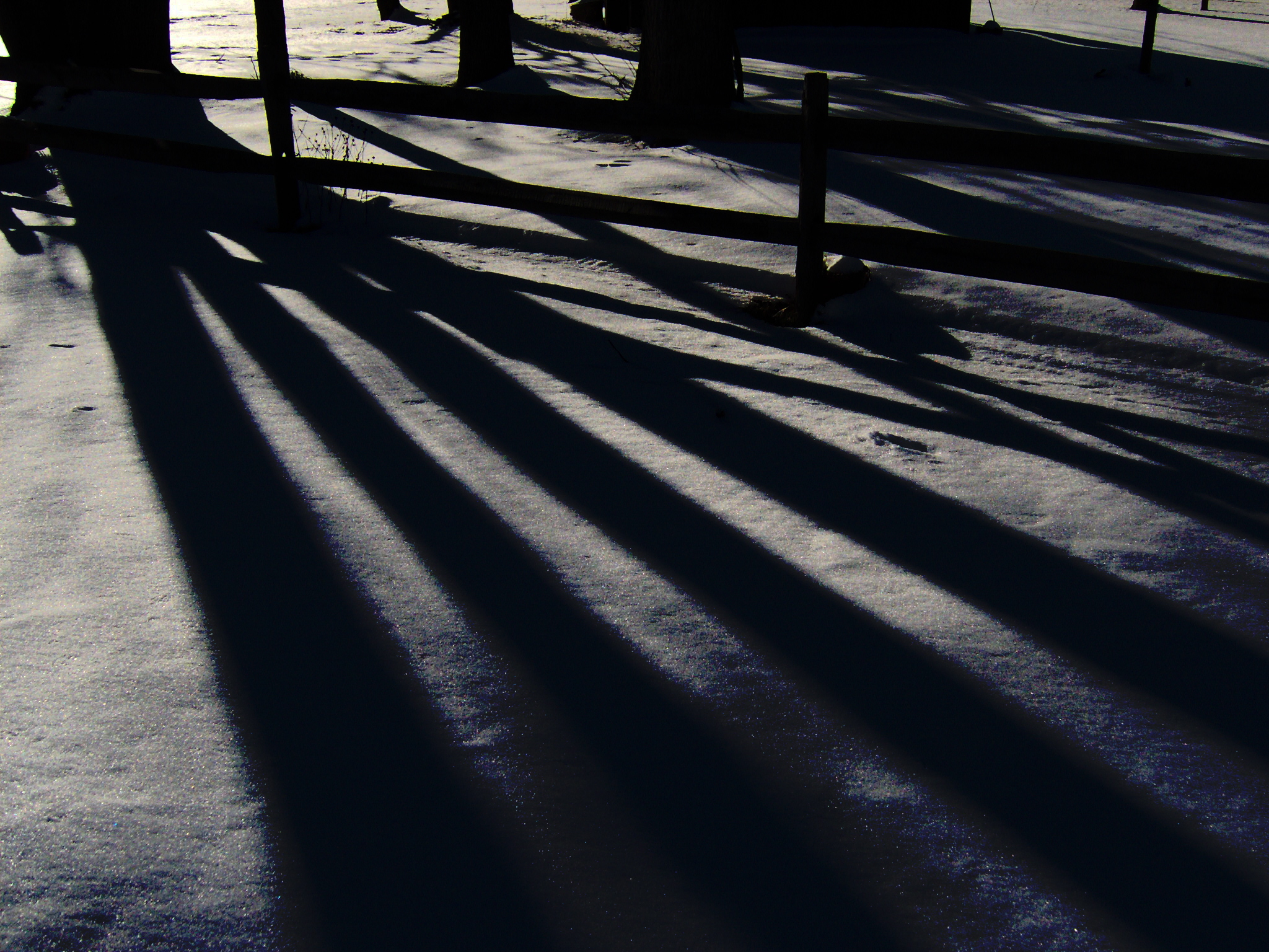 Shadows in the Snow