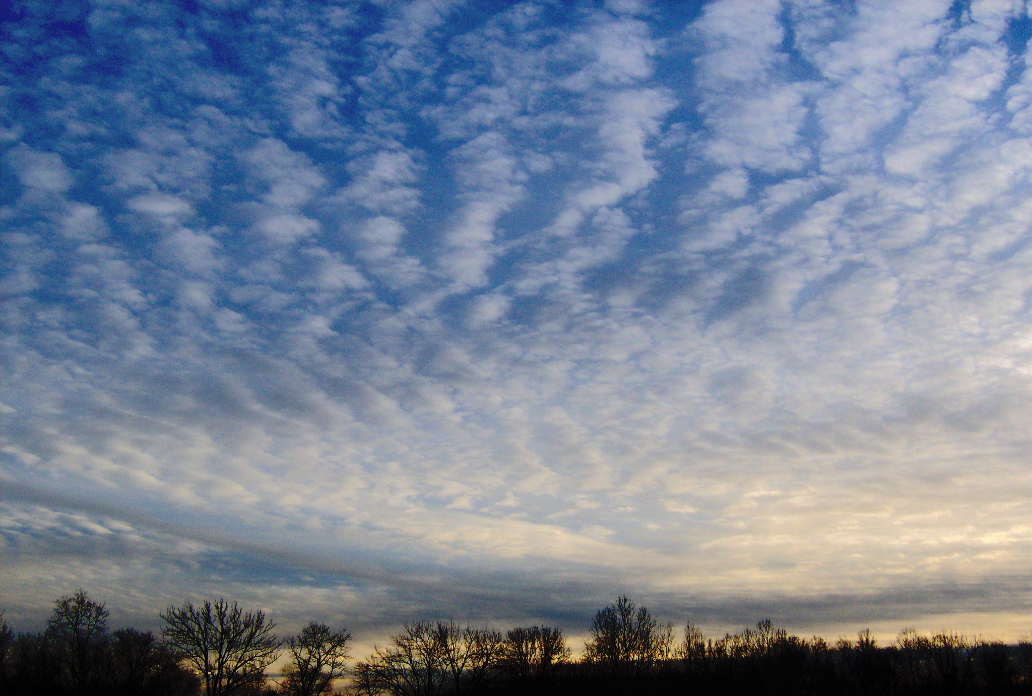 Wave Clouds