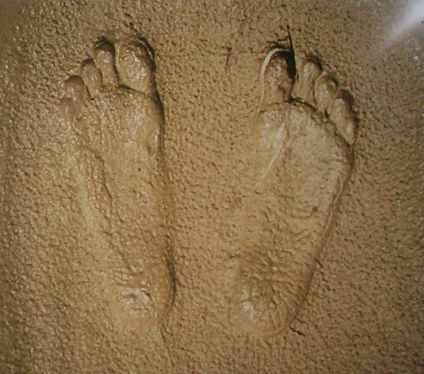 Footprints in the sand