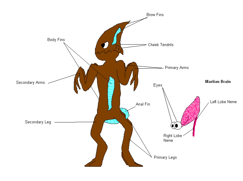 Martian Anatomy