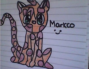 Marco The Warrior cat