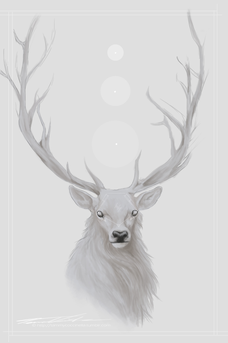 White Deer