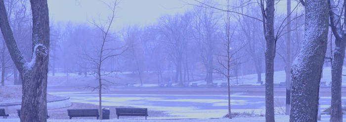 Premiere neige au Parc Lafontaine 3