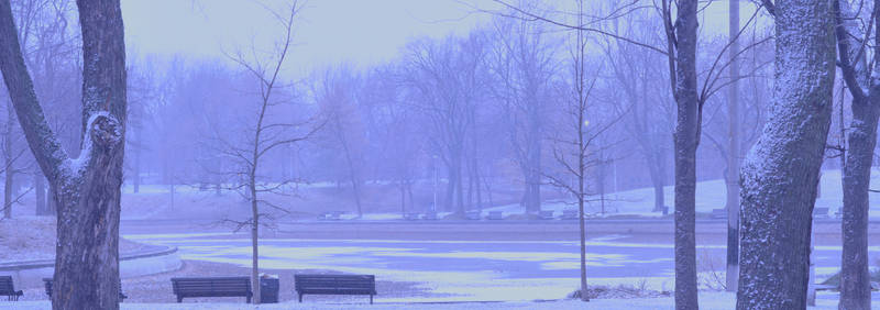 Premiere neige au Parc Lafontaine 3