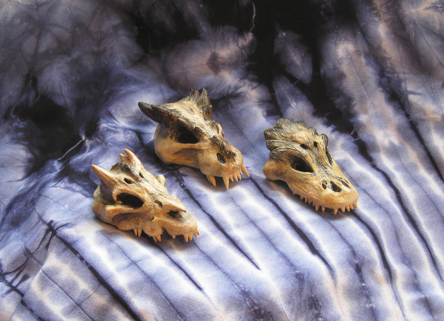 Baby Dragon Skulls